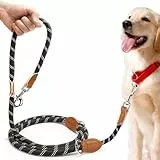 PETCOOZ Hundeleine 3 M Verstellbare Schleppleine für Mittel- & Großhunde(15-60kg), Reflektierende Freihandleine mit 2 Karabiner, Doppelleine aus Robustem Nylon, 200 kg Extreme Kraft