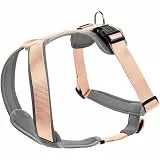 Hunter Hundegeschirr NEOPREN, Farbe: pfirsich/grau, strapazierfähiges Nylon, mit weichem Neopren gepolstert, reflektierendes 3M Scotchlite Reflective Material, pflegeleicht, komfortabel, Größe: S