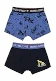 SALT AND PEPPER Jungen Boys Boxersh. 2er Set Builder Boxershorts, Multi, 116-122 EU