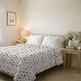 Italian Bed Linen Leichte Steppdecke & Übergangsdecke Basic 250x240 cm - Bügelfreie Mikrofaser Tagesdecke 100g für Französisches Bett - Sommer & Frühling Decke - Circle
