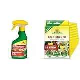 Neudorff Spruzit AF Schädlingsfrei & Gelbsticker gegen kleine fliegende Schädlinge wie Trauermücken, insektizid frei, geruchlos, 10 Stück (1er Pack)