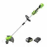 Greenworks 24V Akku Rasentrimmer für kleine bis mittelgroße Gärten, 30 cm Schnittbreite, automatischer Vorschub 1,65 mm Nylon Faden, 24V 2Ah Akku & Ladegerät, 3 Jahre Garantie G24LT30K2