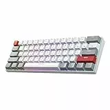 Newmen GM610Pro 60 Prozent Tastatur Mechanische Kabellose TKL Gaming-Tastatur Bluetooth/Type-C Aufladbar NKRO mit extra Tastenkappen-Set,RGB-Hintergrundbeleuchtung QWERTY,für Windows/Mac,Gateron braun