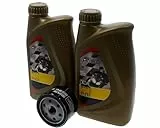 Ölwechsel Set Motoröl 5W40 Ölfilter HF184 Inspektion kompatibel mit Piaggio MP3 500 X8 X9 X10