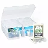Lifewit Fotobox Aufbewahrungsbox 35 x 28 cm/14x11 mit 20 innere Fotohalter, 10x15cm Fotoetui, Klar Fotoboxen zur Aufbewahrung, Kunststoff Foto Organizer für Bilder Saatgut Karten Handwerk Aufkleber