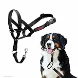 HALTI Kopfgeschirr - Verhindert, dass Ihr Hund an der Leine zieht, Einfache Anpassung, Leicht, mit gepolstertem Nasenriemen, Anti-Zug-Halsband für große Hunde (Größe 5, Schwarz)