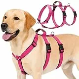 Olcyren Sicherheitsgeschirr Hund, Ausbruchsicheres Anti Zug Hundegeschirr, Panikgeschirr für Hunde, Verstellbare Brustgeschirr mit Gepolstertem Griff for Mittelgroße und Große Hunde (Rosenrot, M)