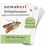 nemabest® Schlupfwespen gegen Lebensmittelmotten - 9 Karten à 1 Lieferung zur effektiven Bekämpfung - biologische Alternative zur Mottenfalle oder Pheromonfalle