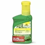 Neudorff Azet Grünpflanzendünger 250ml - 100% natürlicher Dünger Zimmerpflanzen für schnelles Wachstum - Palmendünger für tiefgrüne Blätter aller Grünpflanzen und Palmen - vegan