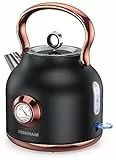 NESSGRAIM Retro Wasserkocher, 1,7L Edelstahl-Teekessel mit Großer Temperaturanzeige, 2200W Schnell Aufheizender Heißwasserboiler mit LED-Indikator，schwarz