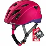 Alpina A9720 Fahrradhelm, Deeprose-Violet Matt, 45-49 cm