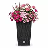 Prosperplast Blumentopf in Rattan-Optik Pflanzkübel mit Einsatz | 26,5 x 26,5 x 50 cm | anthrazit | wetterfest & UV-beständig | aus robustem Kunststoff | für Innen- und Außenbereich