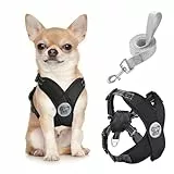 Pawaboo Hundegeschirr mit Hundeleine Set, X-Rahmen Verstellbares Anti Zug Anti-Erstickung Hund Brustgeschirr für Kleine, Mittelgroße Hunde & Welpen, Atmungsaktive Hundeweste mit Leine (S, Schwarz)