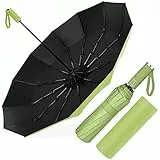 Poligono Regenschirm Sturmfest, Taschenschirm Automatisch Auf und Zu für Herren und Damen, kompakt, 12 Knochenschirm Groß, Durchmesser 105 cm (Grün)