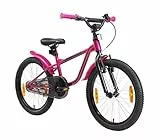 Löwenrad Kinderfahrrad für Jungen und Mädchen ab 6 Jahre | 20 Zoll Kinderrad mit Bremse | Fahrrad für Kinder | Berry