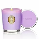 M&SENSE Duftkerzen im Glas Fliederblüte,290g Candle Duftkerze Natürliche Soja-Kerze,Bunte Kerzengeschenke für Frauen & Männer,Aromatherapie Kerze zur Entspannung,10.2 oz 55 Stunden Brenndauer