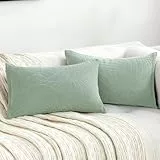 TOCOMOA Kissenbezug 30x50 2er Set Sofakissen Dekokissen Kissenbezüge Frottee, Hellgrün Dekorative Kissenhülle Zierkissen Blattmuster, Spritzwassergeschützter Couchkissen für Sofa Wohnzimmer