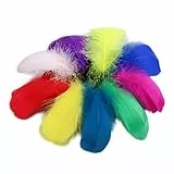 lafomukea 200 Stück Deko Federn, Bunte Federn Zum Basteln, 6~12 cm, Federn Deko für DIY Ohrring, Hochzeit, Christmas, Traumfänger, Kopfschmucksfedern
