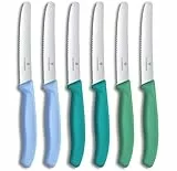Victorinox Swiss Classic, Frühstücksmesser, Brötchenmesser Set, 6teilig, Scharfe Klinge, Wellenschliff, 11cm, Rostfreier Stahl, Blau und Grün