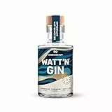 NORDSEEGUT WATT`N GIN 0.1L - Nordsee Premium Dry Gin 42% Vol. I vegan mit handverlesenen Zutaten wie Hagebutte, Lavendel und fruchtiger Orange, Salzwiesen, Wattenmeer