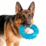 ElevaPulse Hundespielzeug Unzerstörbar Gummi Für Starke Kauer, Unzerstörbares Hundespielzeug, Kauspielzeug Hund, Spielerische Zahnpflege Ring Spielzeug Für Kleine, Mittlere & Große Hunde﻿(13cm)