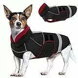 CITÉTOILE Hundejacke mit Klettverschluss – Reflektierend, Führungsöse & wärmender Kragen – Leichtes Wintercoat mit weicher Füllung, Schwarz, XS