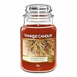 Yankee Candle Duftkerze im Glas (groß), Autumn Wreath, Kerze mit langer Brenndauer bis zu 150 Stunden, optimale Geschenke für Frauen