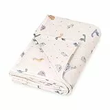 Julius Zöllner Jersey Decke gefüttert aus Baumwoll-Jersey | Gr. 70x100 cm | Made in Germany | OEKO-TEX® STANDARD 100 | LittleDinos