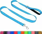Taglory Hundeleine Kleine Hunde Leicht | Doppelseitig Reflektierend | Gepolsterter Griff | Bis zu 10 kg | 1.8m x 2cm | Himmelblau