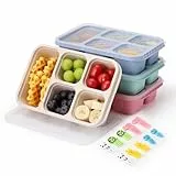 AIEVE 4 Stück Snackbox mit Fächern, Bento-Lunchbox für Kinder und Erwachsene, geteilte Lebensmittelaufbewahrungsbehälter mit 10 Tiergabeln für Arbeit, Schule, Picknick, Reisen