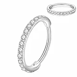 Artskin G23 Titan 0.8 8mm Silber Nasenring Hoop hypoallergen nickelfrei Knorpelohrring Septum Clicker Ring Klappbarer Segmentring Lippenring Helix Body Piercing Schmuck
