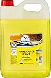 ROBBYROB 8806000000 Sommerscheibenreiniger Zitrus 5 L