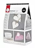 Rayher Raysin 100 Gießpulver, Beutel 10 kg, Gießmasse weiß, Reliefgießpulver, lufthärtend und geruchslos, 34474102
