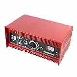 Absaar N/E AmpM SH250 Batterie Ladegerät 12V/24V 30A, Schwarz/Rot
