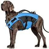 CITÉTOILE Hunde Schwimmweste mit Griff und Reflektierend, Einstellbare Rettungsweste für Kleine Mittel Große Hunde, Langlebigem für Wassersport Schwimmen und Bootfahren, Blau, 2XL