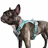 Huntboo Anti Zug Hundegeschirr für kleine mittelgroße Grosse Hunde, No Pull Geschirr, reflektierende Sicherheitsgeschirr mit 2 Leinenclips, kein Würgen, verstellbar für Training und Laufen(Blau,M)