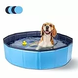 Nobleza Hundepool für Große & Kleine Hunde, Faltbarer Hunde Planschbecken, Stabile Hundebadewanne, Swimmingpool für Katzen, 120 * 30cm, M, Blau