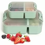 Hausfelder Brotdose mit Fächern 2er Set - Brotdosen mit Trennfächern für Kinder & Erwachsene, Lunchbox klein & groß, BPA-frei (Mintgrün)