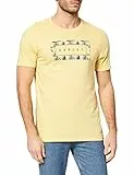 Hurley Herren T-Shirts Palm to Grow PRM Tee SS, Lemon wash Htr, L, CJ6662