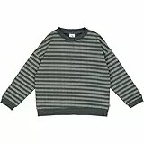 Müsli by Green Cotton Jungen Stripe Sweatshirt T-Shirt, Balance Green/Poetry Green, 134 EU