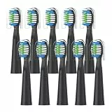 Bitvae D2 elektrische Zahnbürste Ersatzköpfe Erwachsene DuPont Borsten Düse Bürstenkopf, kompatibel for Bitvae, D2 elektrische Zahnbürste, 10 Stück(10PCS BLACK)