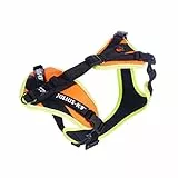 JULIUS K-9 JK9 Mantrailing Hundegeschirr, UV orange mit neon Rand, XS