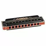 Cascha Mundharmonika F-Dur Anfänger u. Fortgeschrittene I Hochwertige 10-Loch diatonische Harmonika hervorragender Klang I Perfekte Aufbewahrung u. Pflege mit Blues Harmonika Softcase u. Putztuch