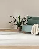 benuta Basic Kunstfaser Fellteppich Furry - Creme 140x200 cm - Weicher Wohnzimmerteppich - Anti-Rutsch-Rückseite - Waschbar - Für Fußbodenheizung geeignet