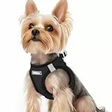 rabbitgoo Hundegeschirr Kleine Hunde, Step-in Welpengeschirr Weich Mesh für Spaziergänge, Atmungsaktives und Reflektierendes Brustgeschirr für Kleine und Mittelgroße Hunde, Schwarz, XS