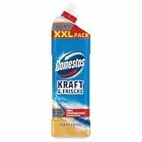 Domestos Kraft & Frische WC Reiniger Gel Ocean Fresh XXL Reinigungsmittel gegen Kalkablagerungen beseitigt 99,99% Bakterien und spezielle Viren* 1 Liter