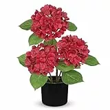 Hollyone Künstliche Hortensie im Topf, Rot Hortensien Kunstblumen Deko Blume mit Topf Seidenblume für Haus Bad Büro Tisch Dekoration