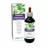 Baldrian (Valeriana officinalis) Wurzeln Alkoholfreier Urtinktur Naturalma - Flüssig-Extrakt Tropfen 200 ml - Nahrungsergänzungsmittel - Veganer