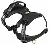 Max & Molly Sport Hundegeschirr Kleine Hunde mit Gotcha! Smart ID Sicherheitsanhänger, Matrix 2.0 Schwarz/S, Geschirr Hund Gepolstert & Reflektierend - Komfort für deinen treuen Begleiter