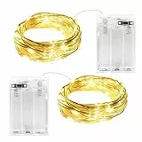 cshare 2 Stück Lichterkette Batterie mit Timer, 2M 20LED Warmweiß Innen Lichterketten Kupferdraht, IP65 Wasserdicht Weihnachtsbeleuchtung für Zimmer Garten Krüge Weihnachten Innen Dekoration